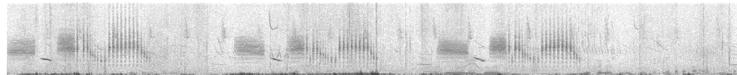 Apolinar's Wren - ML643052328