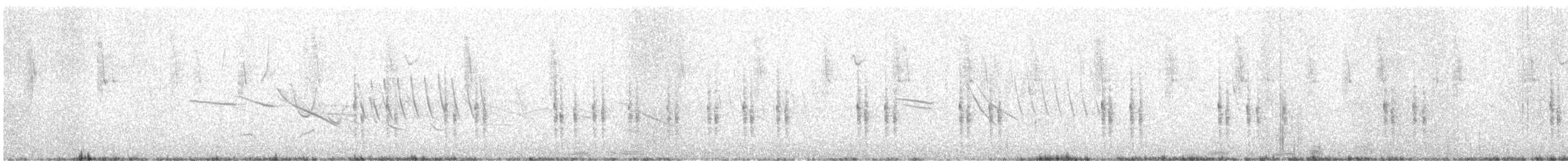 Apolinar's Wren - ML643052850