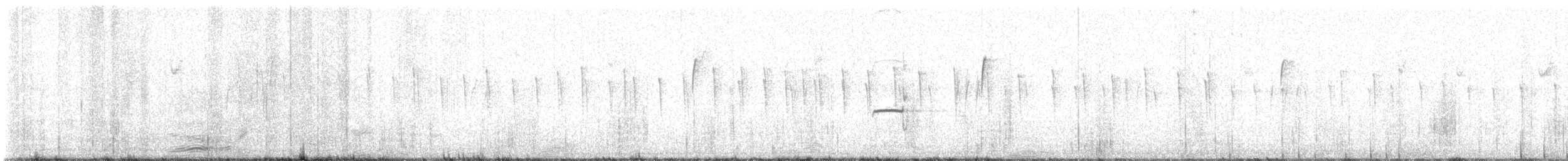 Northern Beardless-Tyrannulet - ML643053407