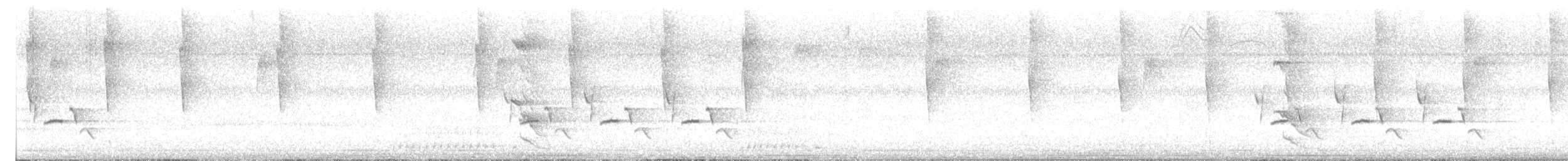 Carolina Wren - ML643053771