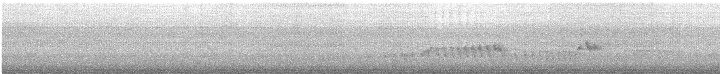 Dot-winged Antwren - ML643054129