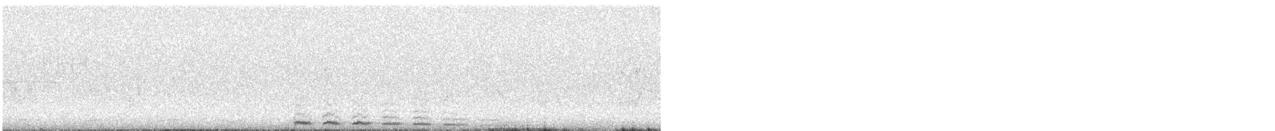 hvitstrupetapakulo - ML643055366