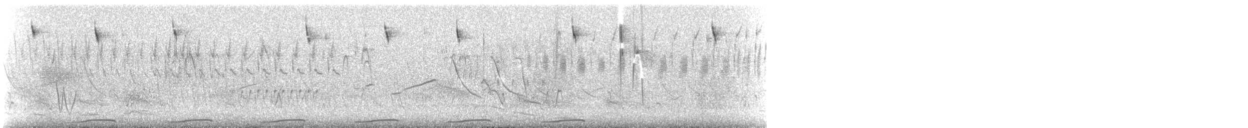 holoubek pikui - ML643055796