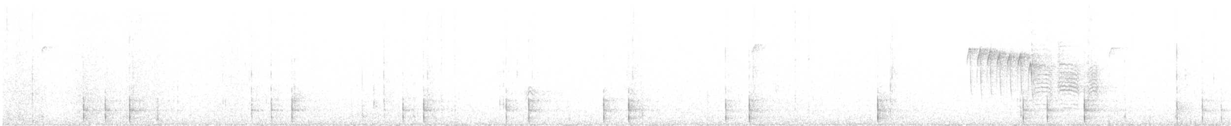 Black-backed Woodpecker - ML643057713