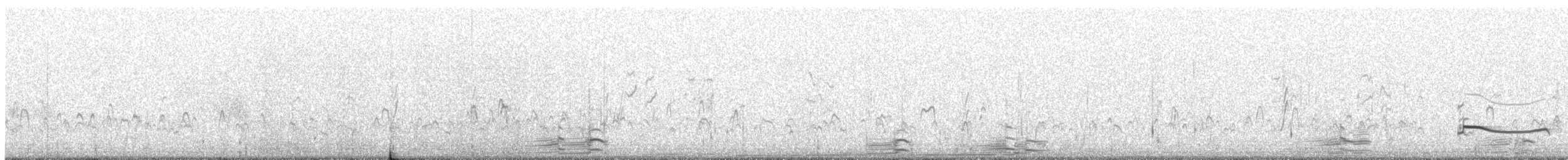 Black-bellied Plover - ML643058980