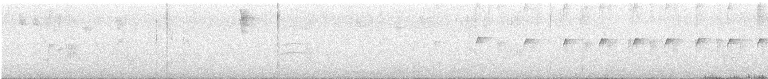 maracaibotodityrann - ML643060612