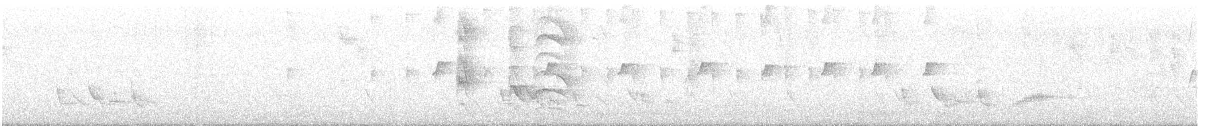 maracaibotodityrann - ML643060623