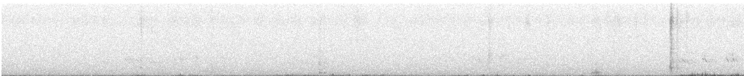 maracaibotodityrann - ML643060950