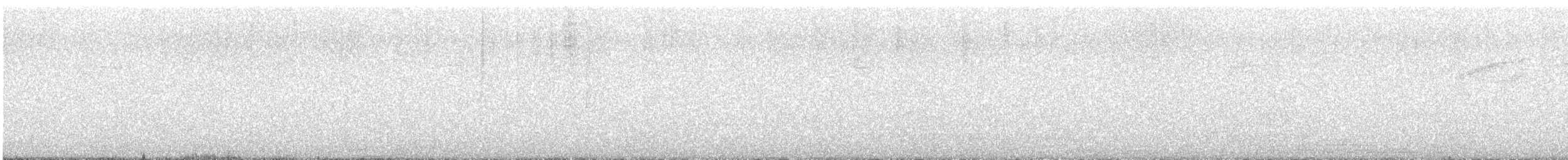 maracaibotodityrann - ML643060999