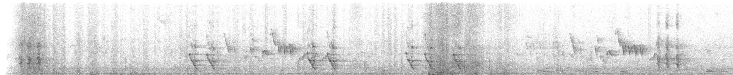 plysjskrike - ML643061275