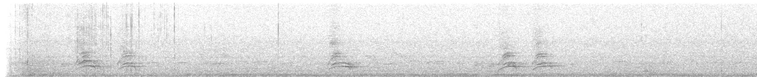 White-necked Thrush - ML643061607
