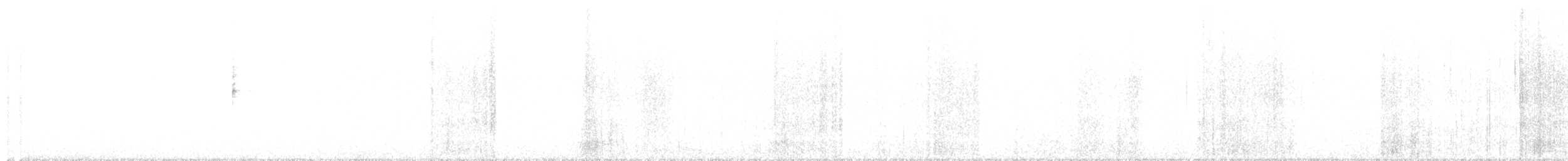 Colin de Californie - ML643061646
