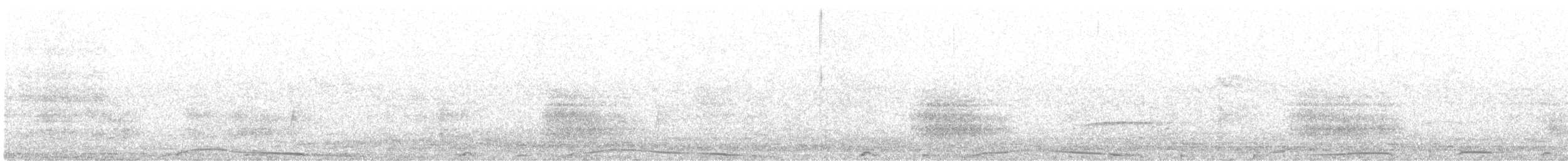 Pale-vented Pigeon - ML643061735