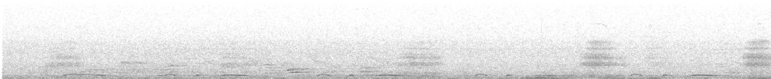 Pale-vented Pigeon - ML643061873