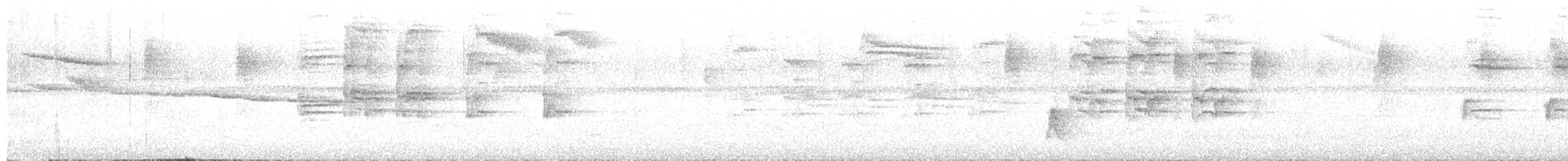 Blacksmith Thrush - ML643061941
