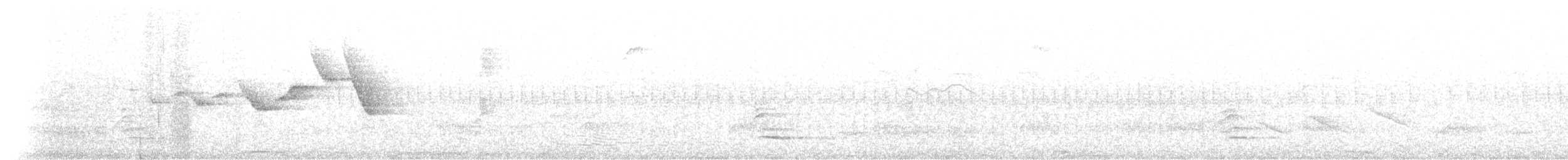 Golden-crowned Warbler - ML643062082