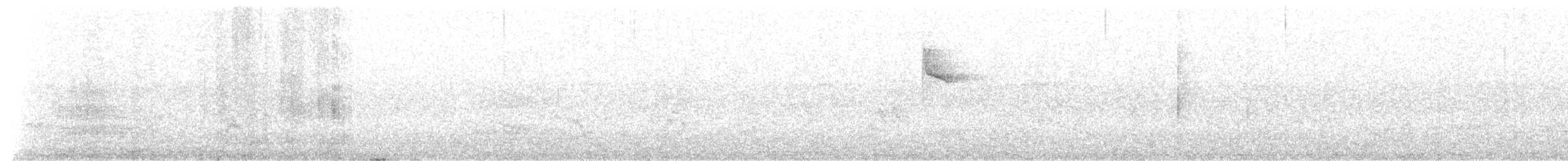 White-browed Warbler - ML643062098