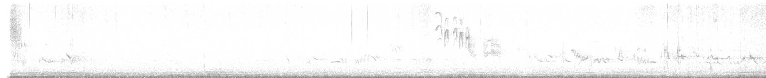 Townsend's Solitaire - ML643062331