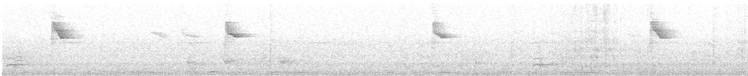 White-browed Warbler - ML643062336