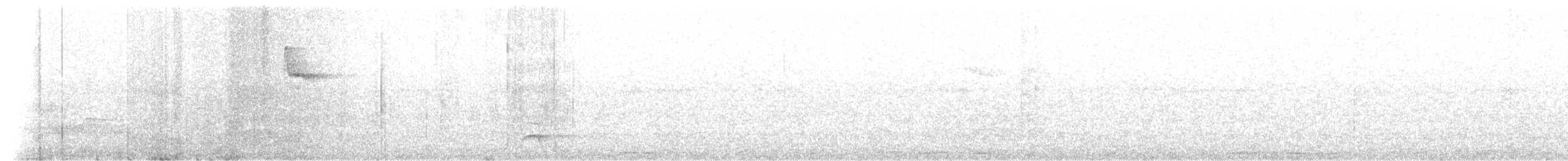 White-browed Warbler - ML643062339