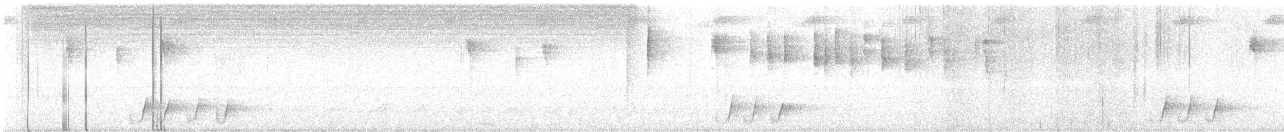 Whiskered Wren - ML643062399
