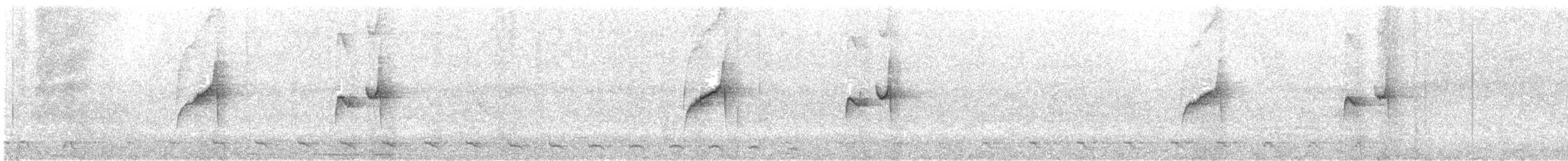 Gray-bellied Spinetail - ML643062535