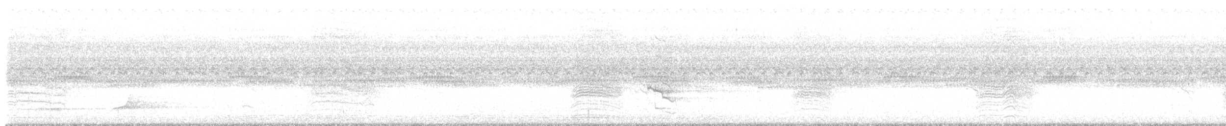 Northern Bobwhite - ML643062791