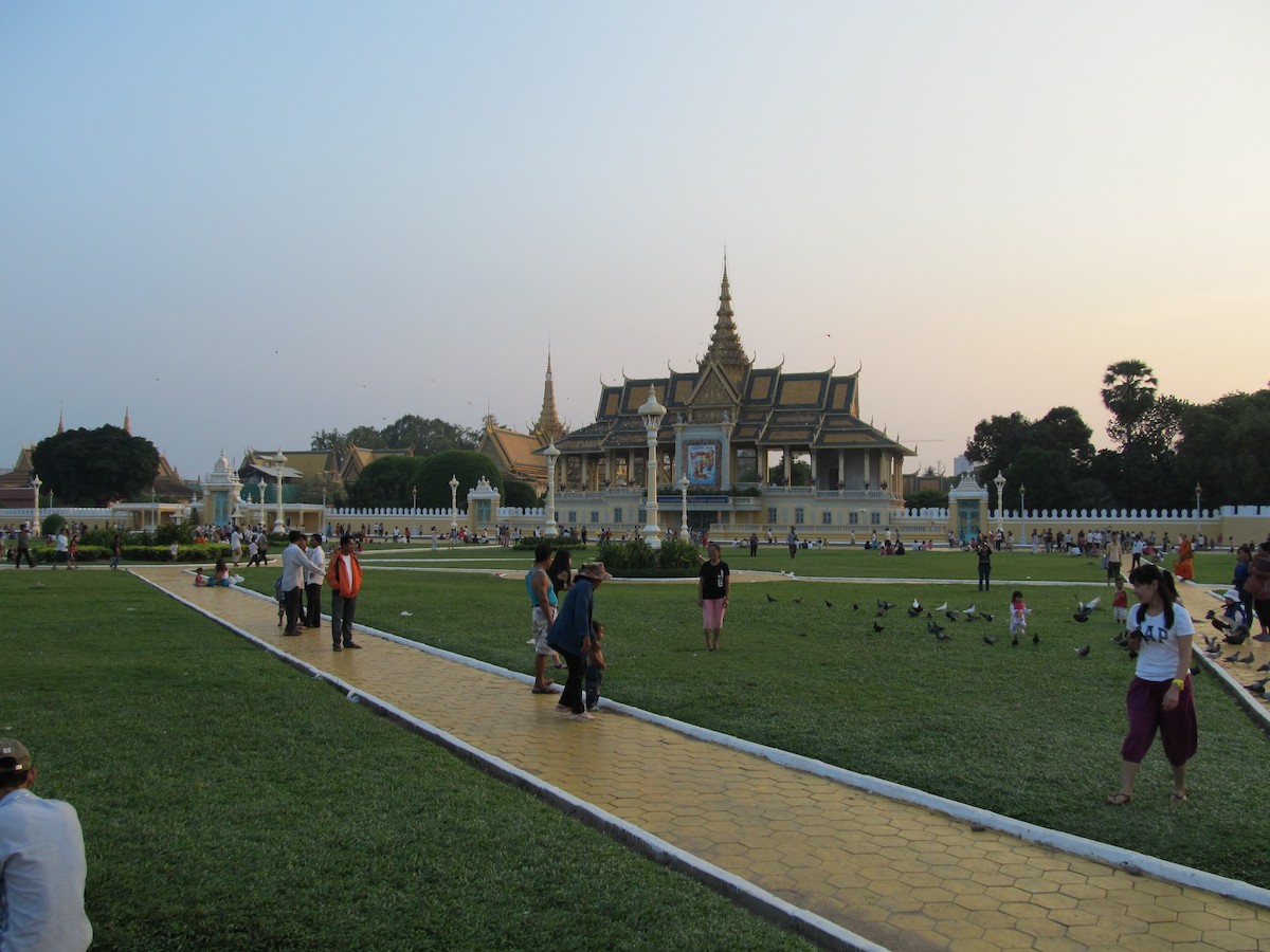 Rock Pigeon (Feral Pigeon) - ML643063131