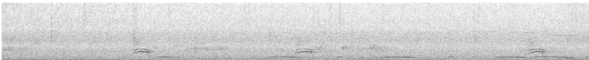 White-necked Thrush - ML643063388