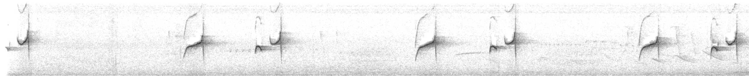 Gray-bellied Spinetail - ML643063487