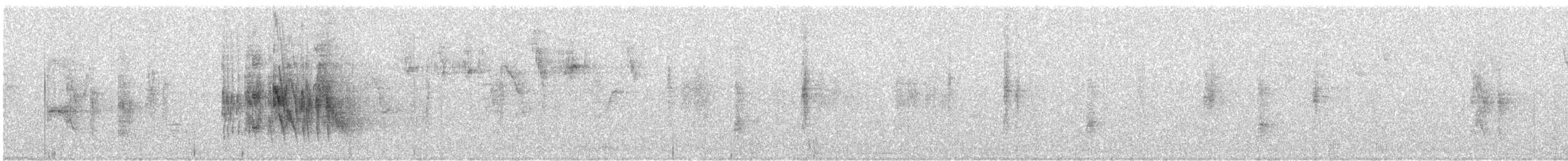 Tumbesian Tyrannulet - ML643064044