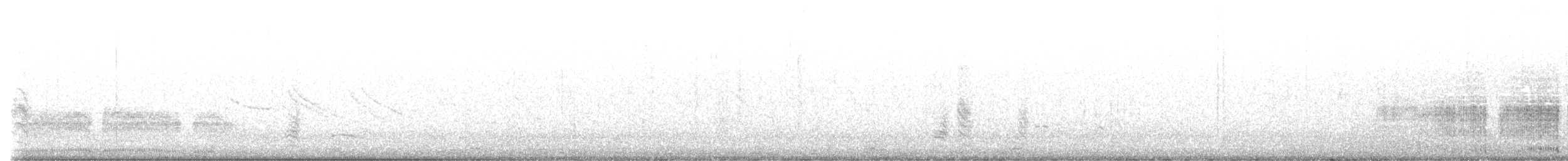 Polluela Negruzca - ML643064821