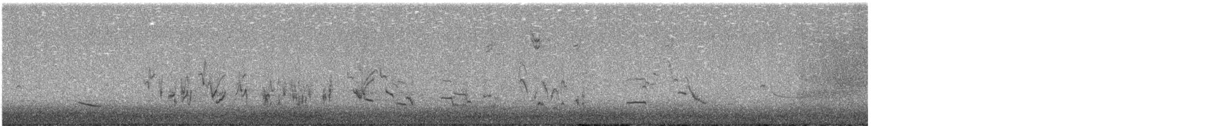 Шпаркос західний - ML643064972