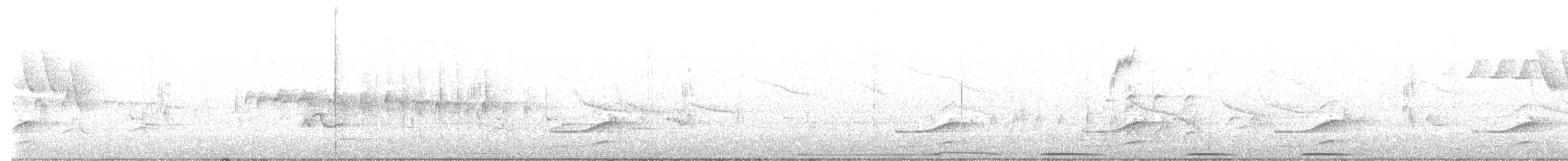 カオグロクイナ - ML643065796