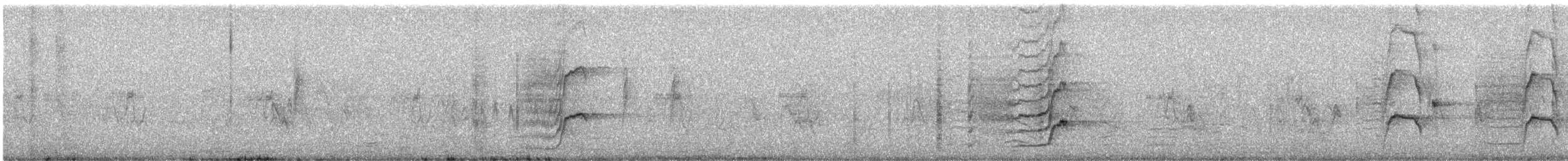 Great-tailed Grackle - ML643066675