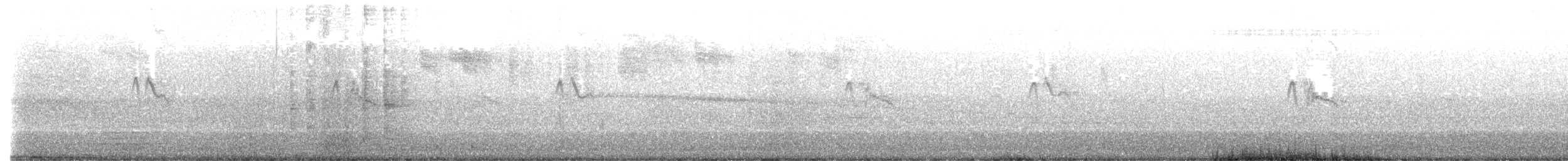 svartfibi - ML643067477