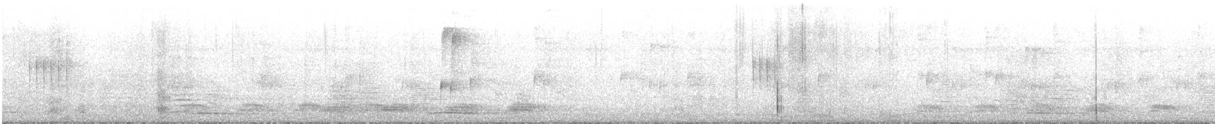 חטפית גמדית - ML643067584
