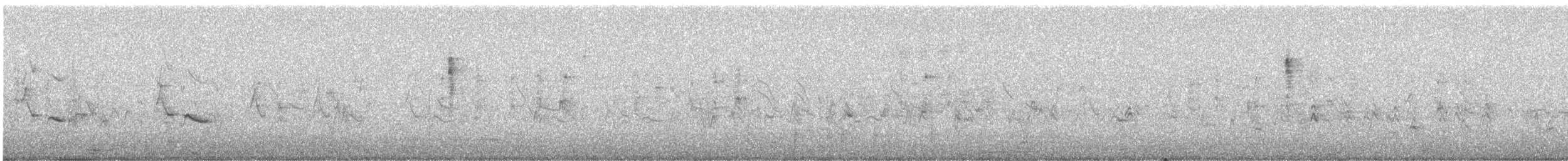 House Finch - ML643069943