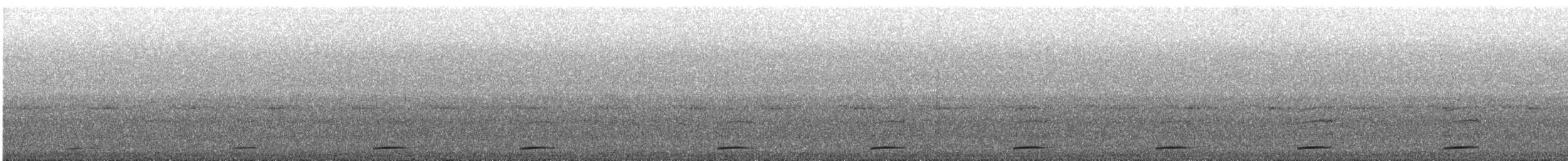 Tody Motmot - ML643070385