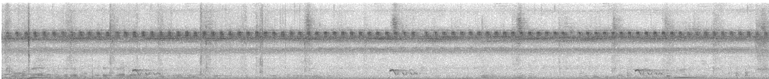 Jerdon's Nightjar - ML643070416