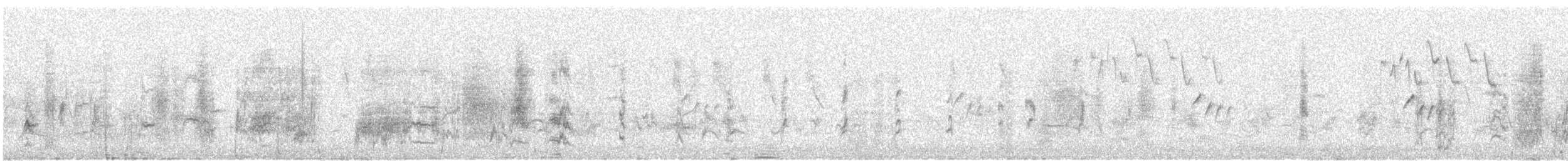 Cape Sugarbird - ML643072536