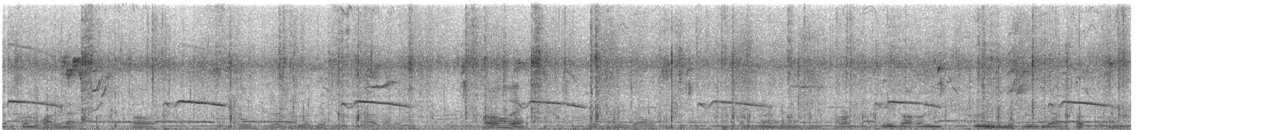 Gray-bellied Cuckoo - ML643072616