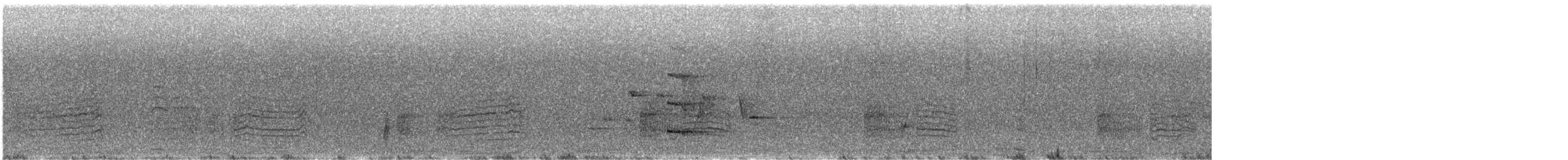 Lewin's Rail - ML643072873