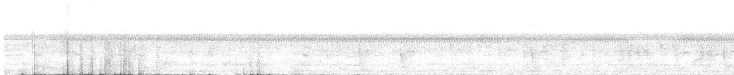 White Tern - ML643072927