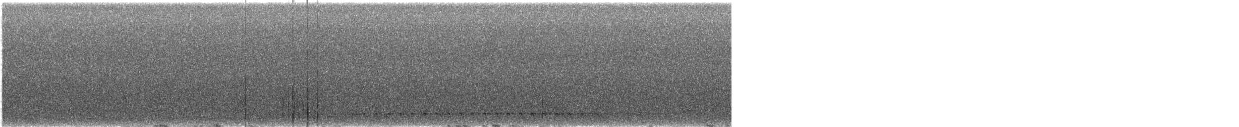 Chotacabras Bigotudo - ML643072955