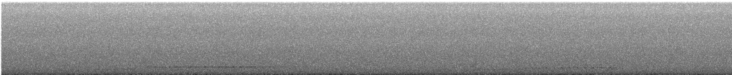 Chotacabras Bigotudo - ML643072956