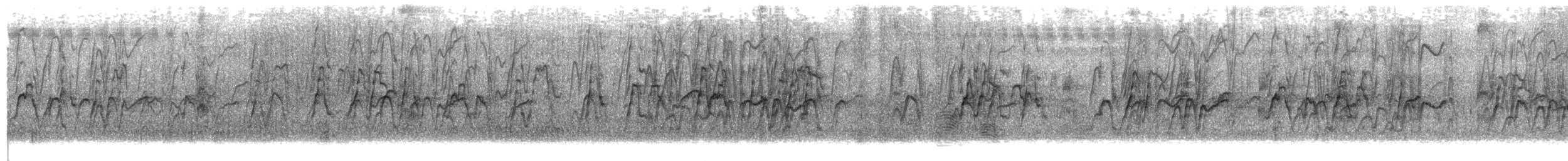 Dendrocygne siffleur - ML643074236