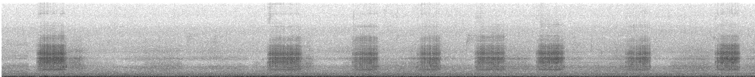 Baudin's Black-Cockatoo - ML643074855