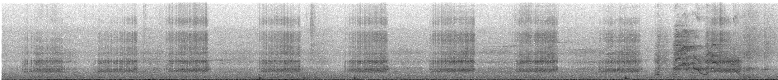 Baudin's Black-Cockatoo - ML643074856