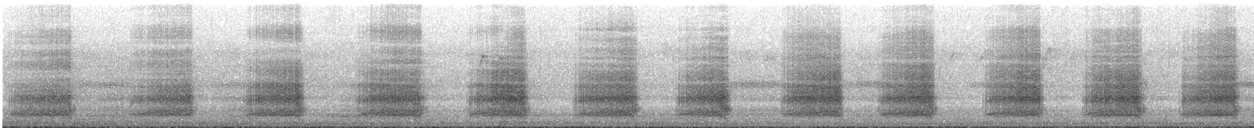 Baudin's Black-Cockatoo - ML643074857